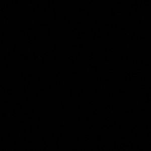 Meet your Posher, Sabrina